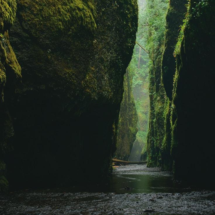 National parks landscape